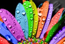 Что такое тетрахроматия